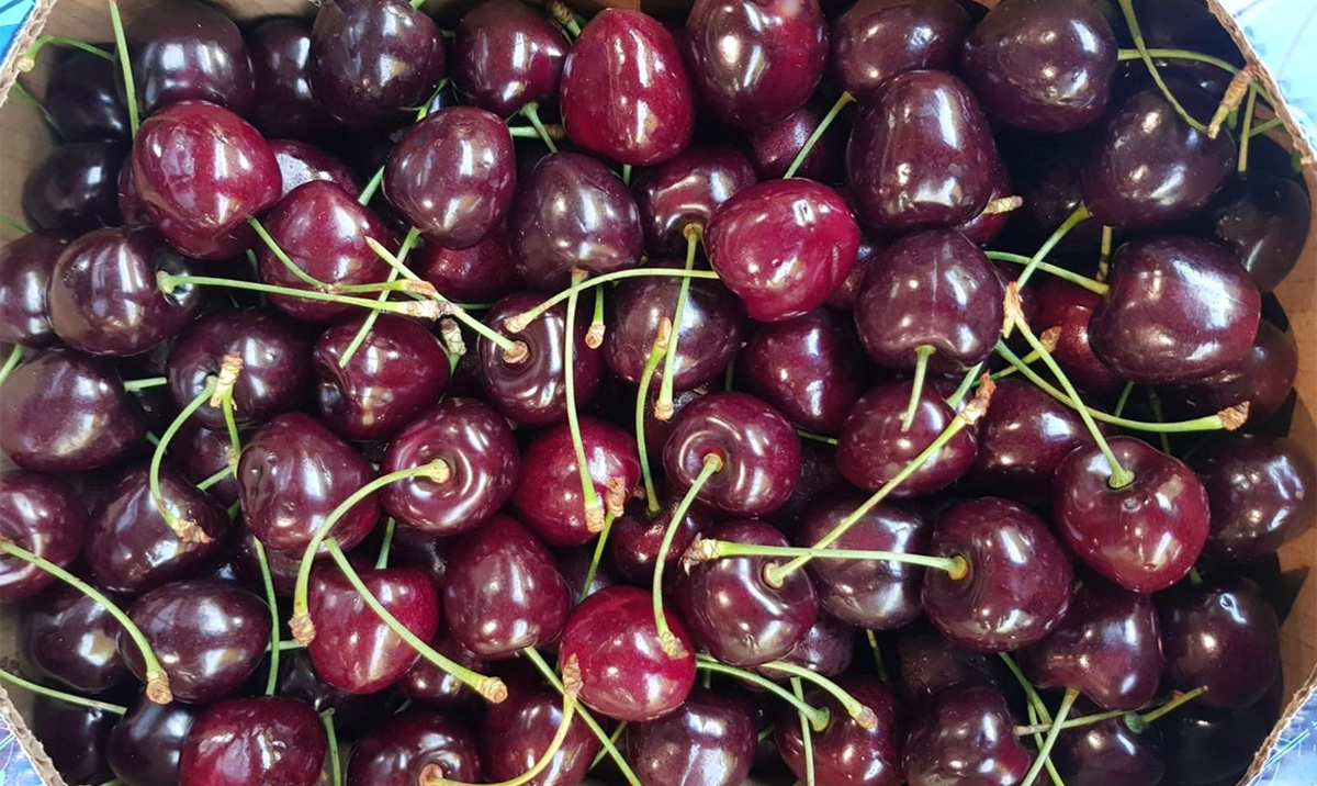 Ciliegie - Trentino Alto-Adige - 5,00/6,00 euro al chilogrammo